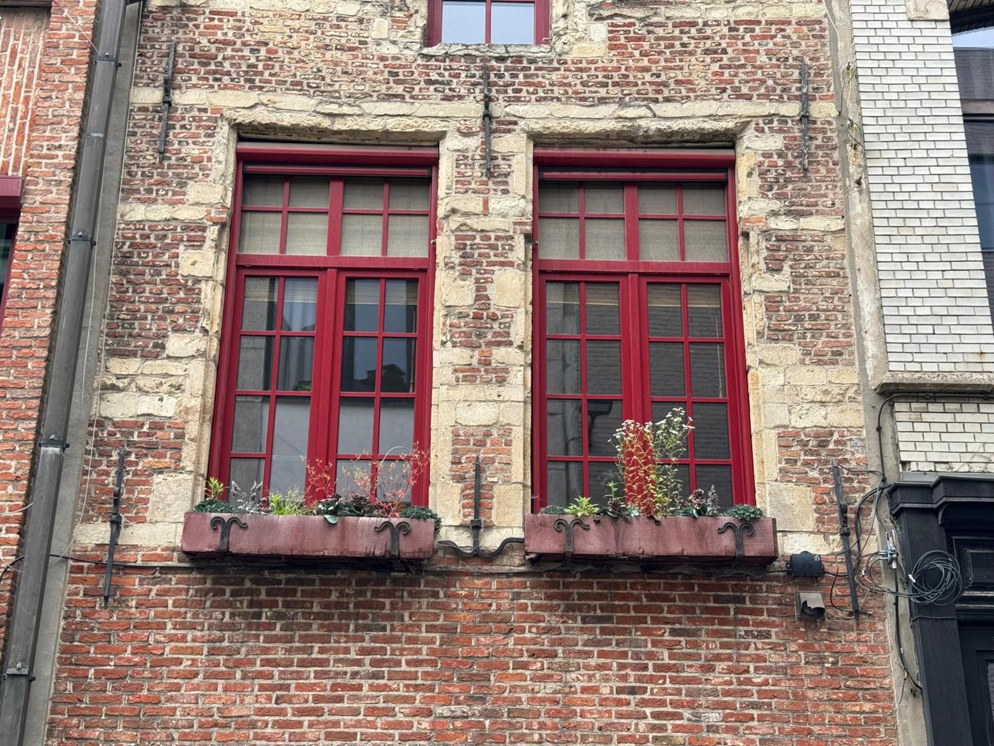 Garden Loft In City Center Meir 1Fl Антверпен Экстерьер фото
